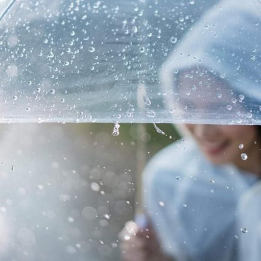 Clear Dome See Through Umbrella Transparent Rain Windproof™